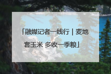融媒记者一线行｜麦地套玉米 多收一季粮