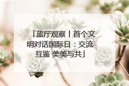 蓝厅观察丨首个文明对话国际日：交流互鉴 美美与共
