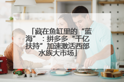 藏在鱼缸里的“蓝海”：拼多多“千亿扶持”加速激活西部水族大市场