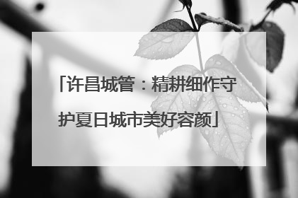 许昌城管：精耕细作守护夏日城市美好容颜