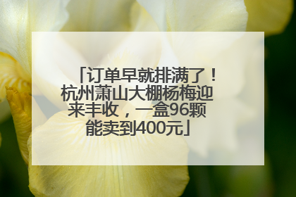 订单早就排满了！杭州萧山大棚杨梅迎来丰收，一盒96颗能卖到400元