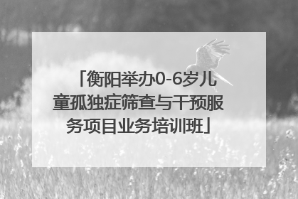 衡阳举办0-6岁儿童孤独症筛查与干预服务项目业务培训班