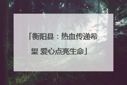 衡阳县：热血传递希望 爱心点亮生命