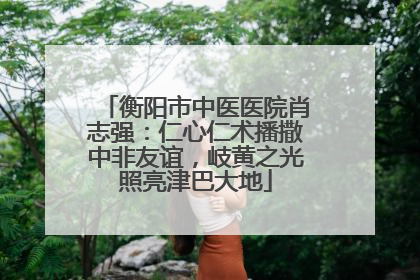 衡阳市中医医院肖志强：仁心仁术播撒中非友谊，岐黄之光照亮津巴大地