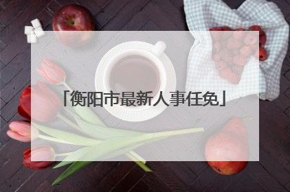 衡阳市最新人事任免