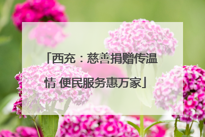 西充：慈善捐赠传温情 便民服务惠万家