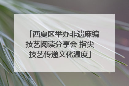 西夏区举办非遗麻编技艺阅读分享会 指尖技艺传递文化温度