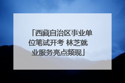 西藏自治区事业单位笔试开考 林芝就业服务亮点频现