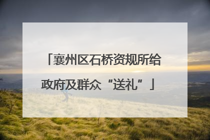 襄州区石桥资规所给政府及群众“送礼”