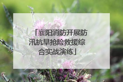 襄阳消防开展防汛抗旱抢险救援综合实战演练