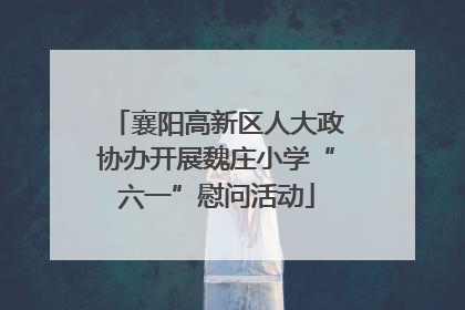 襄阳高新区人大政协办开展魏庄小学“六一”慰问活动