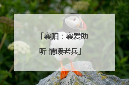 襄阳：襄爱助听 情暖老兵