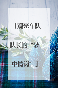 观光车队队长的“梦中情岗”