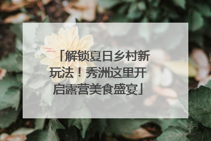 解锁夏日乡村新玩法！秀洲这里开启露营美食盛宴