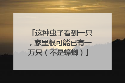 这种虫子看到一只，家里很可能已有一万只（不是蟑螂）