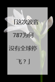 这次波音787为何没有全球停飞？