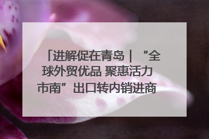 进解促在青岛｜“全球外贸优品 聚惠活力市南”出口转内销进商超专场活动启动