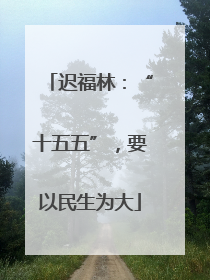 迟福林：“十五五”，要以民生为大