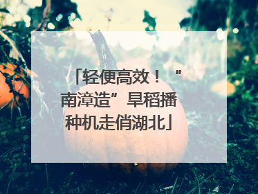 轻便高效！“南漳造”旱稻播种机走俏湖北