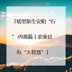 转型新生安阳“行”·内黄篇丨农业县有“大智慧”