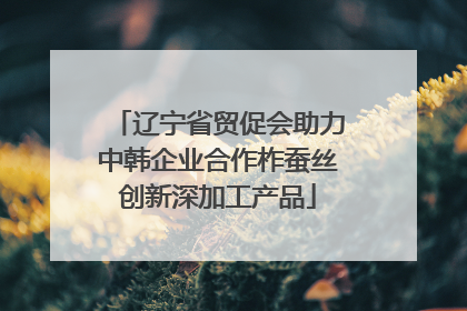 辽宁省贸促会助力中韩企业合作柞蚕丝创新深加工产品
