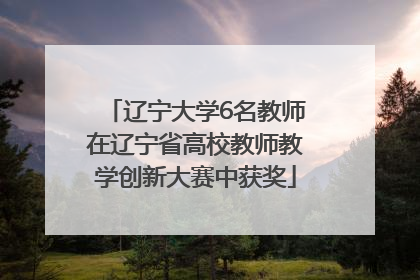 辽宁大学6名教师在辽宁省高校教师教学创新大赛中获奖