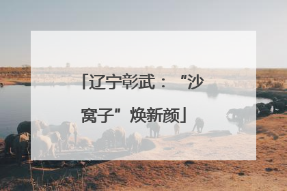 辽宁彰武：“沙窝子”焕新颜