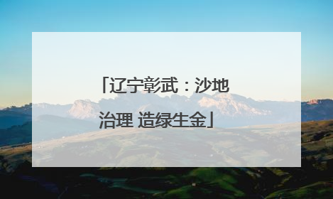 辽宁彰武：沙地治理 造绿生金