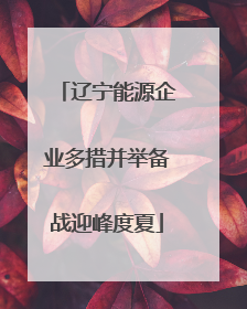 辽宁能源企业多措并举备战迎峰度夏