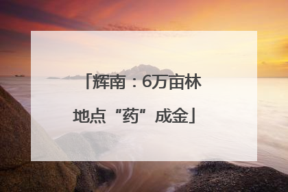 辉南：6万亩林地点“药”成金