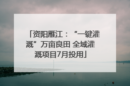 资阳雁江：“一键灌溉”万亩良田 全域灌溉项目7月投用
