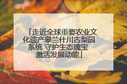走近全球重要农业文化遗产皋兰什川古梨园系统 守护生态瑰宝 激活发展动能