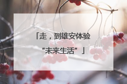 走，到雄安体验“未来生活”