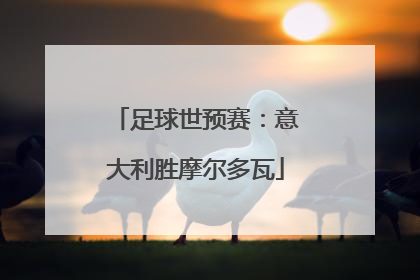 足球世预赛：意大利胜摩尔多瓦