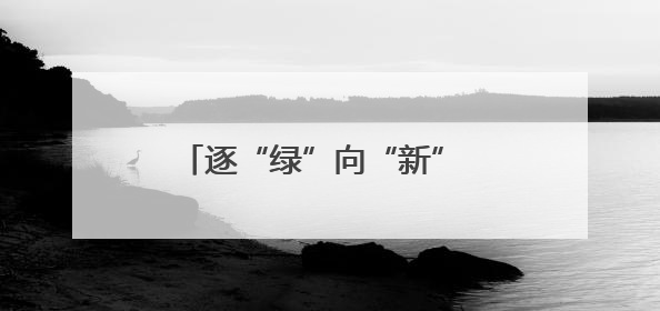 逐“绿”向“新” 广西兴业加速建设百亿绿色钙产业集群