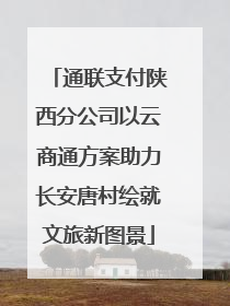 通联支付陕西分公司以云商通方案助力长安唐村绘就文旅新图景
