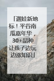 遛娃新地标！平谷南瓜嘉年华，30+品种让孩子边玩边涨知识