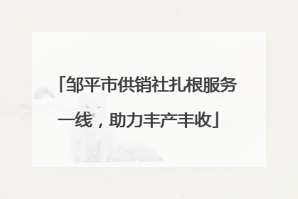 邹平市供销社扎根服务一线，助力丰产丰收