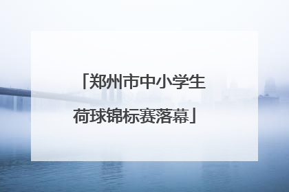郑州市中小学生荷球锦标赛落幕