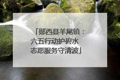 郧西县羊尾镇：六五行动护碧水 志愿服务守清波