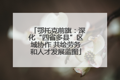 鄂托克前旗：深化“四省多县”区域协作 共绘劳务和人才发展蓝图
