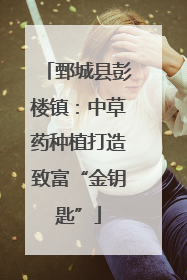 鄄城县彭楼镇：中草药种植打造致富“金钥匙”