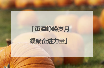 重温峥嵘岁月 凝聚奋进力量