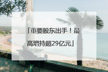 重要股东出手！最高增持超29亿元