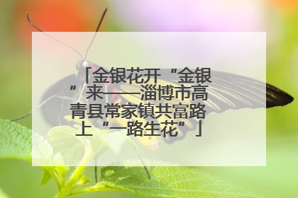 金银花开“金银”来——淄博市高青县常家镇共富路上“一路生花”