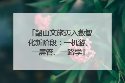 韶山文旅迈入数智化新阶段：一机游、一屏管、一路学