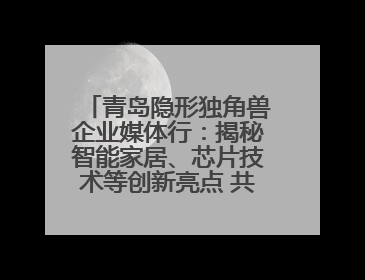 青岛隐形独角兽企业媒体行：揭秘智能家居、芯片技术等创新亮点 共绘科技新篇章