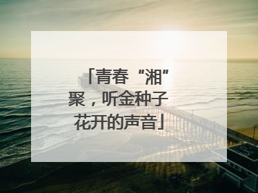 青春“湘”聚，听金种子花开的声音