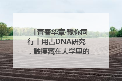 青春华章·豫你同行丨用古DNA研究，触摸藏在大学里的“上下五千年”