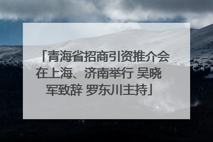 青海省招商引资推介会在上海、济南举行 吴晓军致辞 罗东川主持